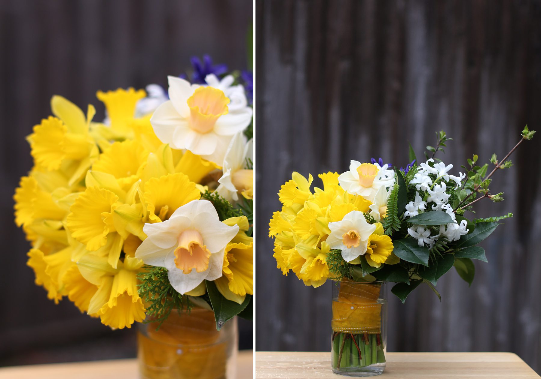 yellow daffodils in a bouquet with dark green leaves