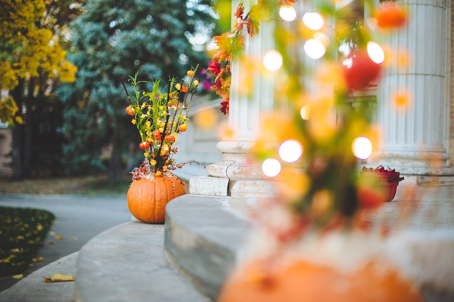 pumpkin floral arrangements