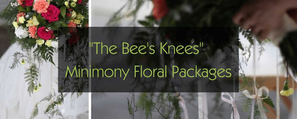 minimony flowers