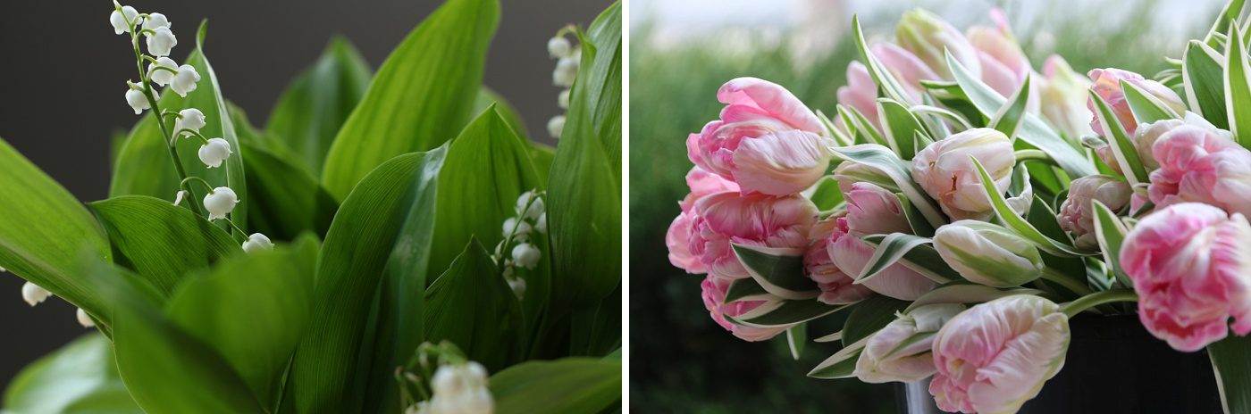 Lily of the Valley and pink tulips