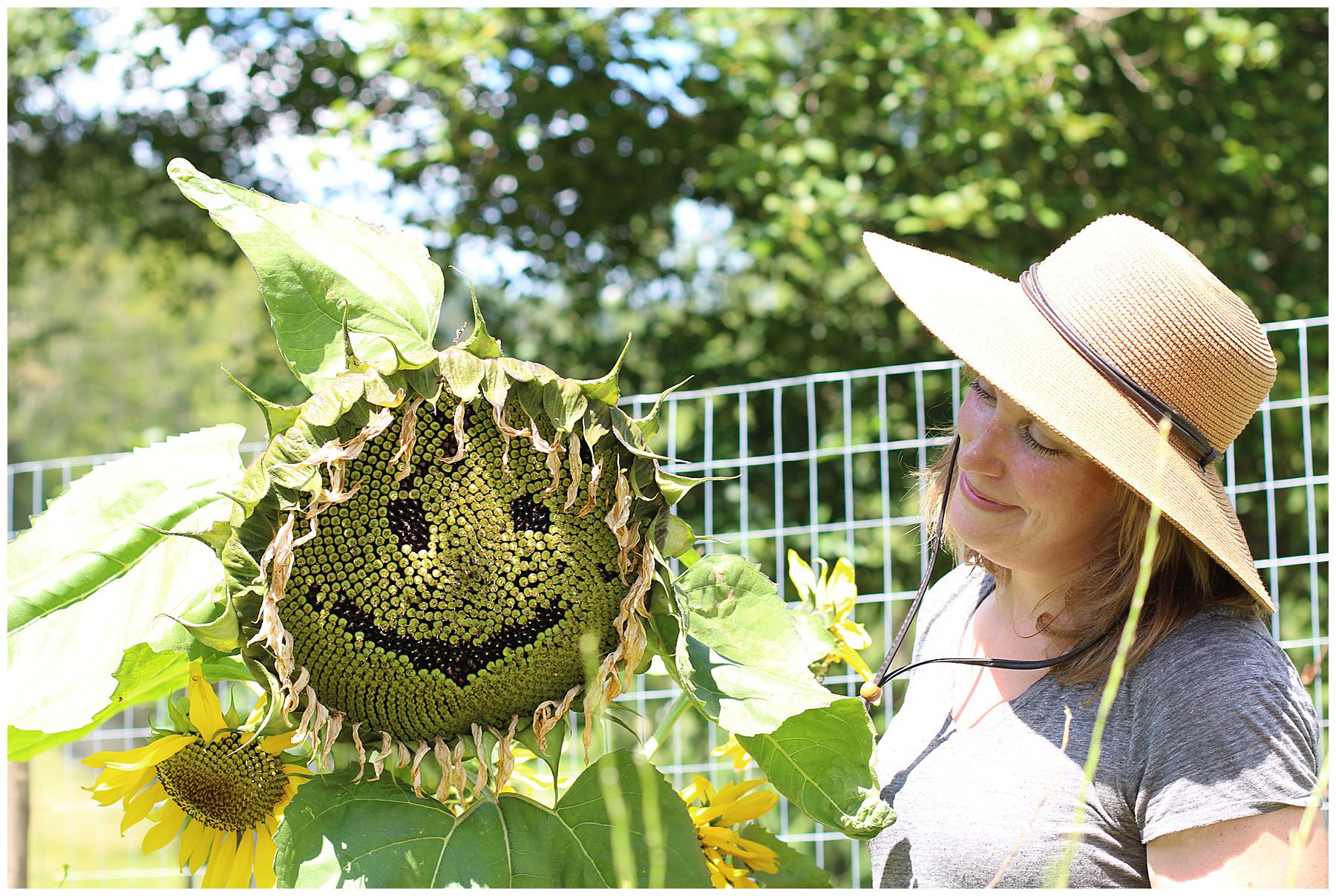 sunflower and woman