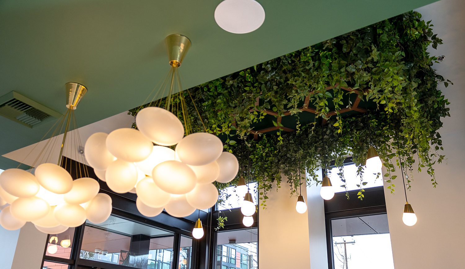 biophilic hanging greenery interior design