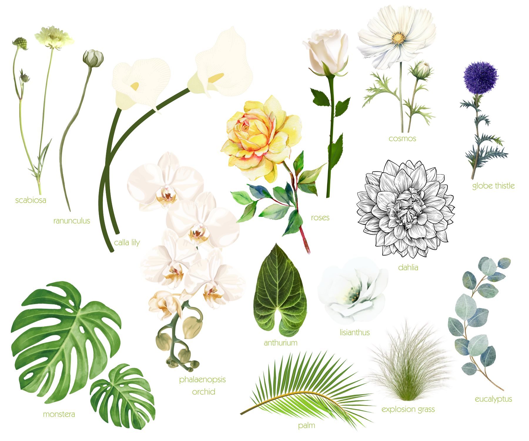 clip art images of flowers and leaves