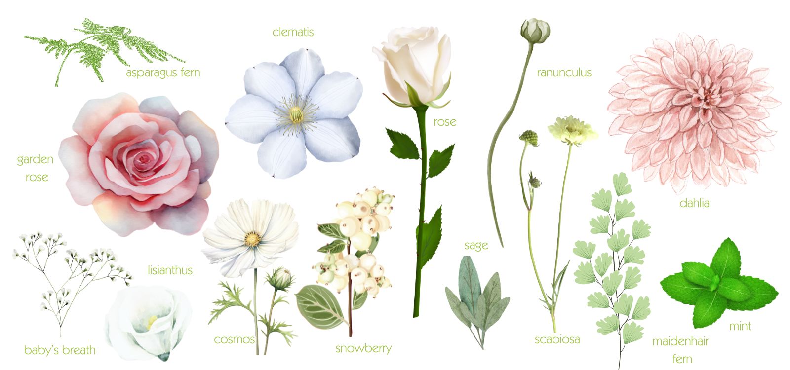 clip art of soft wedding flowers