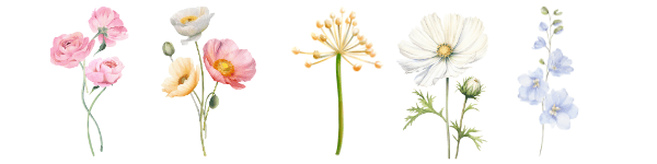 graphic illustrations of flowers