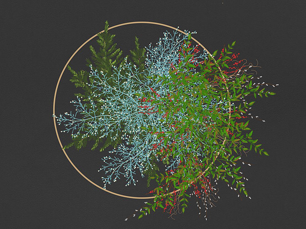 digital drawing of a modern botanical snowflake installation